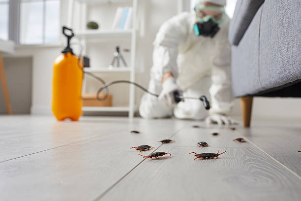 Commercial Kitchen Cockroach Control in Albertville